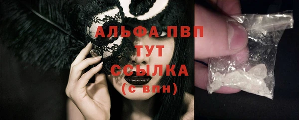 индика Ессентукская