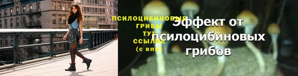 меф Карпинск
