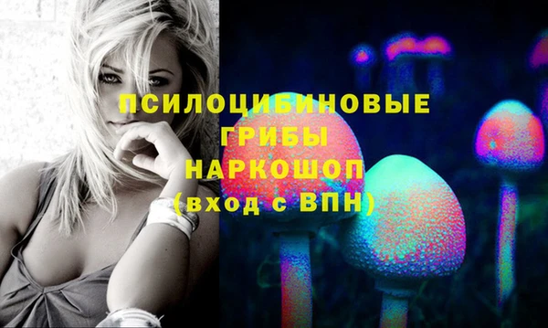 мяу мяу мука Барнаул