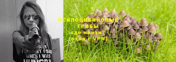 спайс Касимов