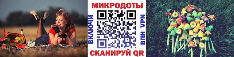 где продают наркотики  Кировград  Галлюциногенные грибы Magic Shrooms 